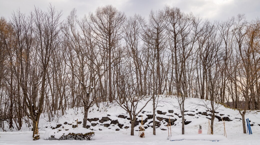Sapporo Art Park showing snow