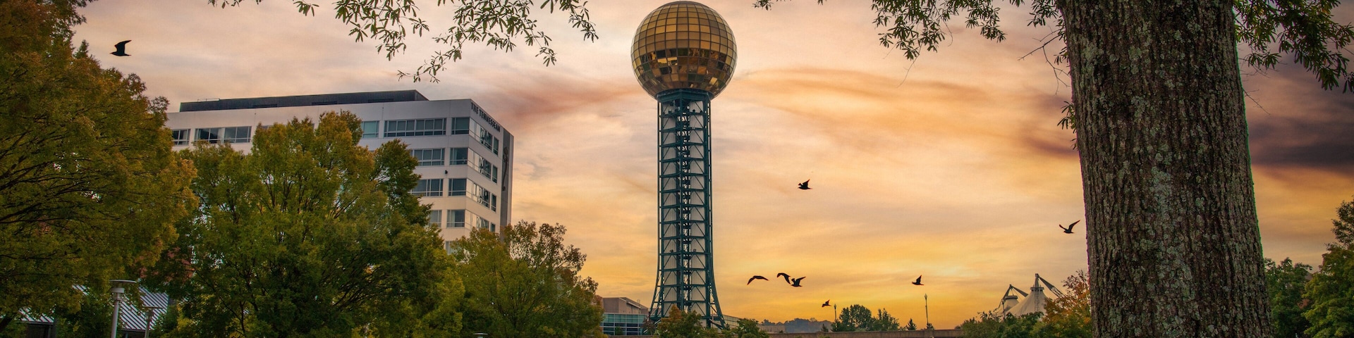 a gorgeous autumn landscape at World's Fair Park surrounded by the Sunsphere and autumn colored trees, yellow winter grass and lush green trees with powerful clouds at sunset in Knoxville Tennessee
