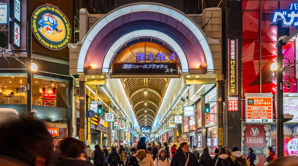 Tanukikoji Shopping Street which includes night scenes, a city and street scenes
