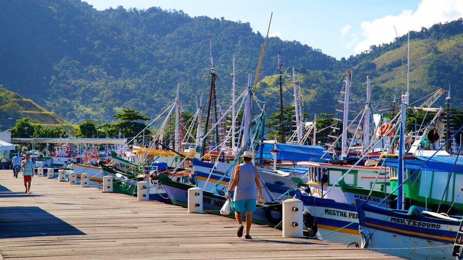 Vismarkt bevat een baai of haven en ook een man