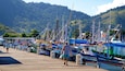 魚市場