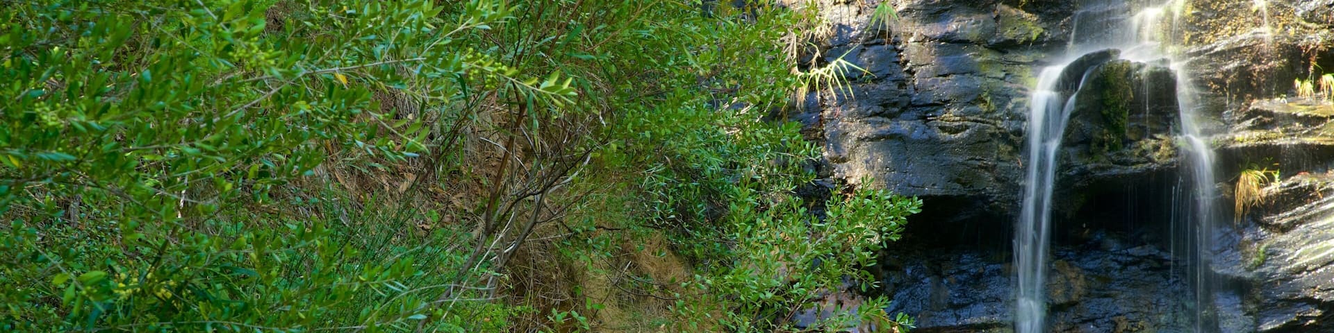 Waterfall Gully