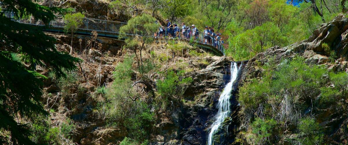 Waterfall Gully mit einem Kaskade sowie kleine Menschengruppe