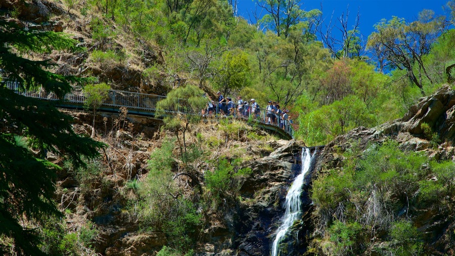 A waterfall cascading down a rocky cliff surrounded by dense green foliage.
