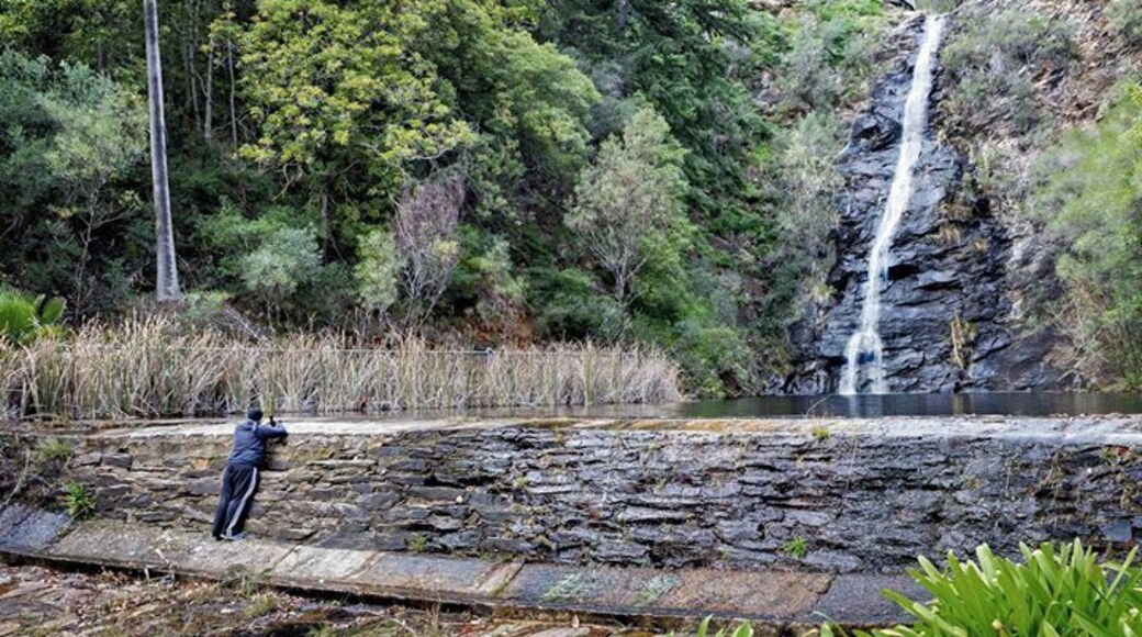 A great location to photograph (photographers even, lol)