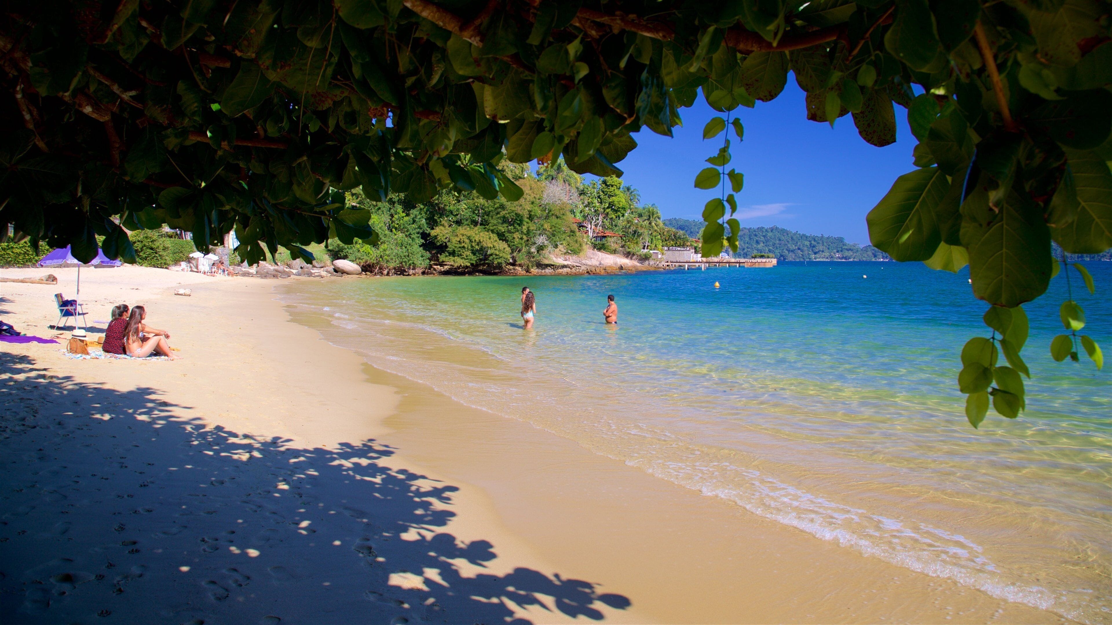 Figueira Beach showing a sandy beach, tropical scenes and swimming
