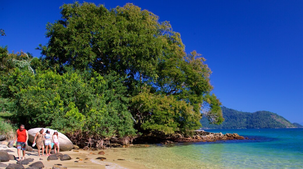 Figueira Beach showing tropical scenes, a beach and general coastal views