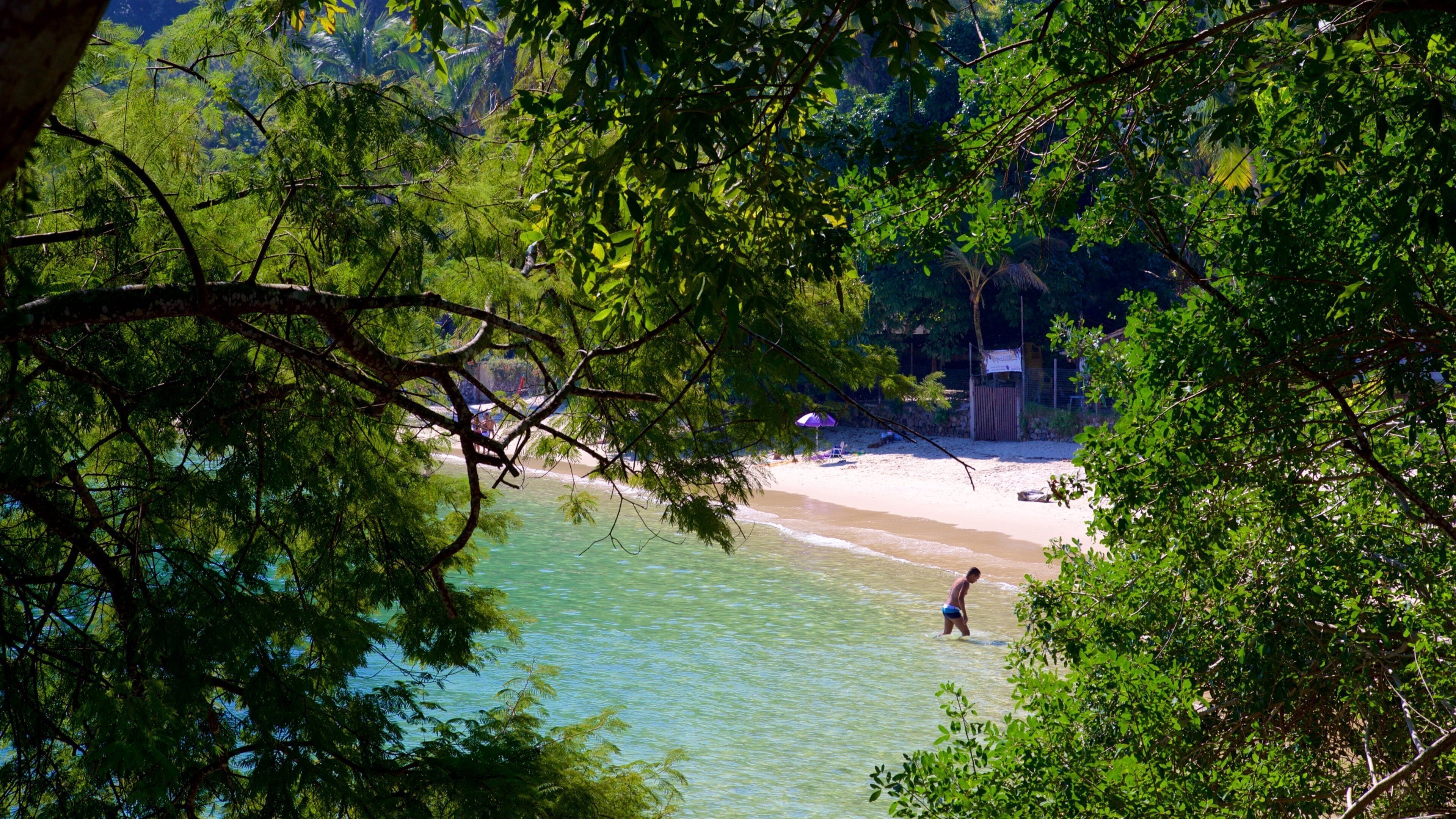 Figueira Beach which includes swimming, general coastal views and tropical scenes