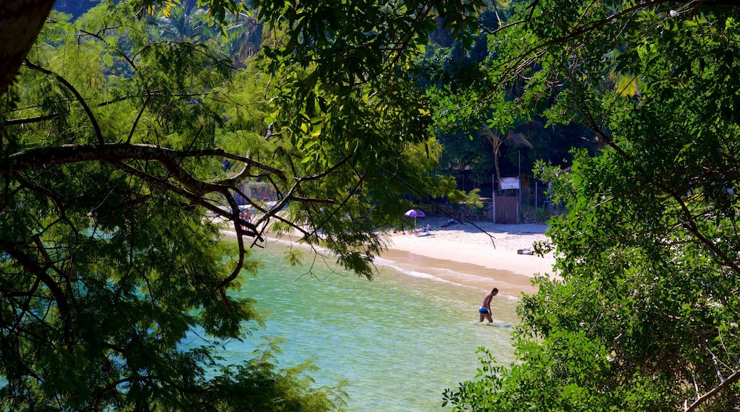 Figueira Beach which includes swimming, general coastal views and tropical scenes