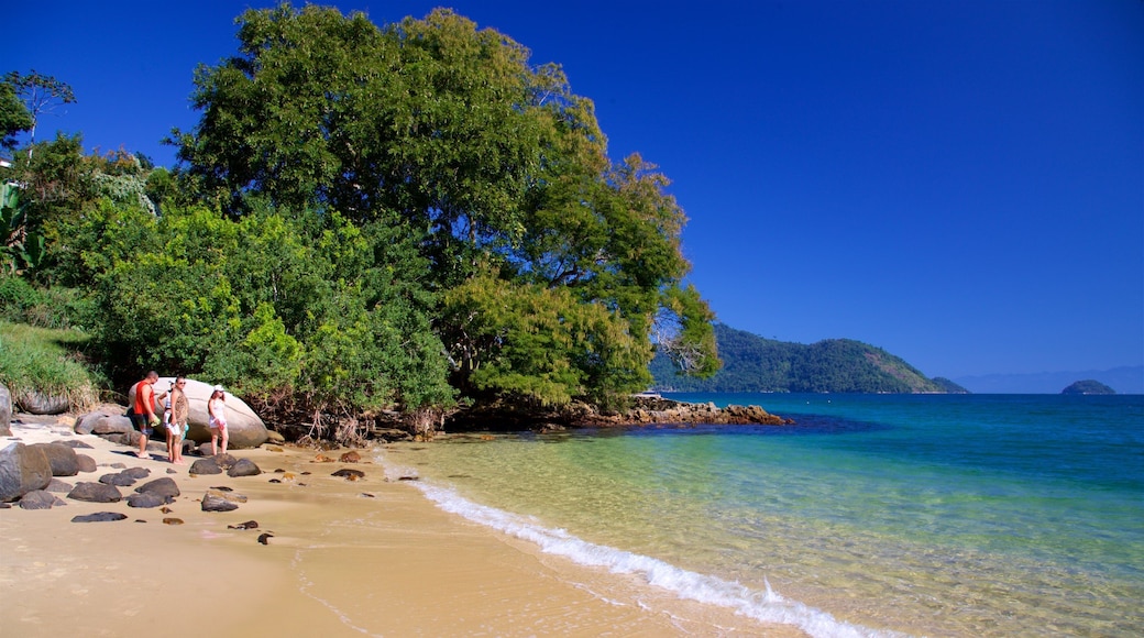 Plage de Figueira mettant en vedette scĂšnes tropicales, plage de sable et vues littorales