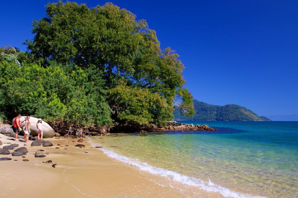 A beach with clear turquoise water, a sandy shore, and lush green trees.