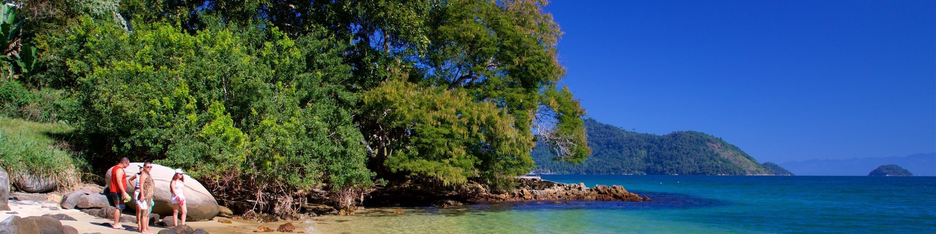 Figueira Beach featuring general coastal views, tropical scenes and a sandy beach