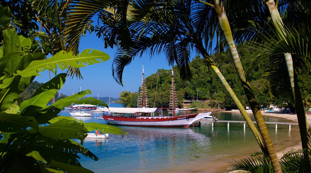 Bonfim Beach showing a bay or harbour and a beach