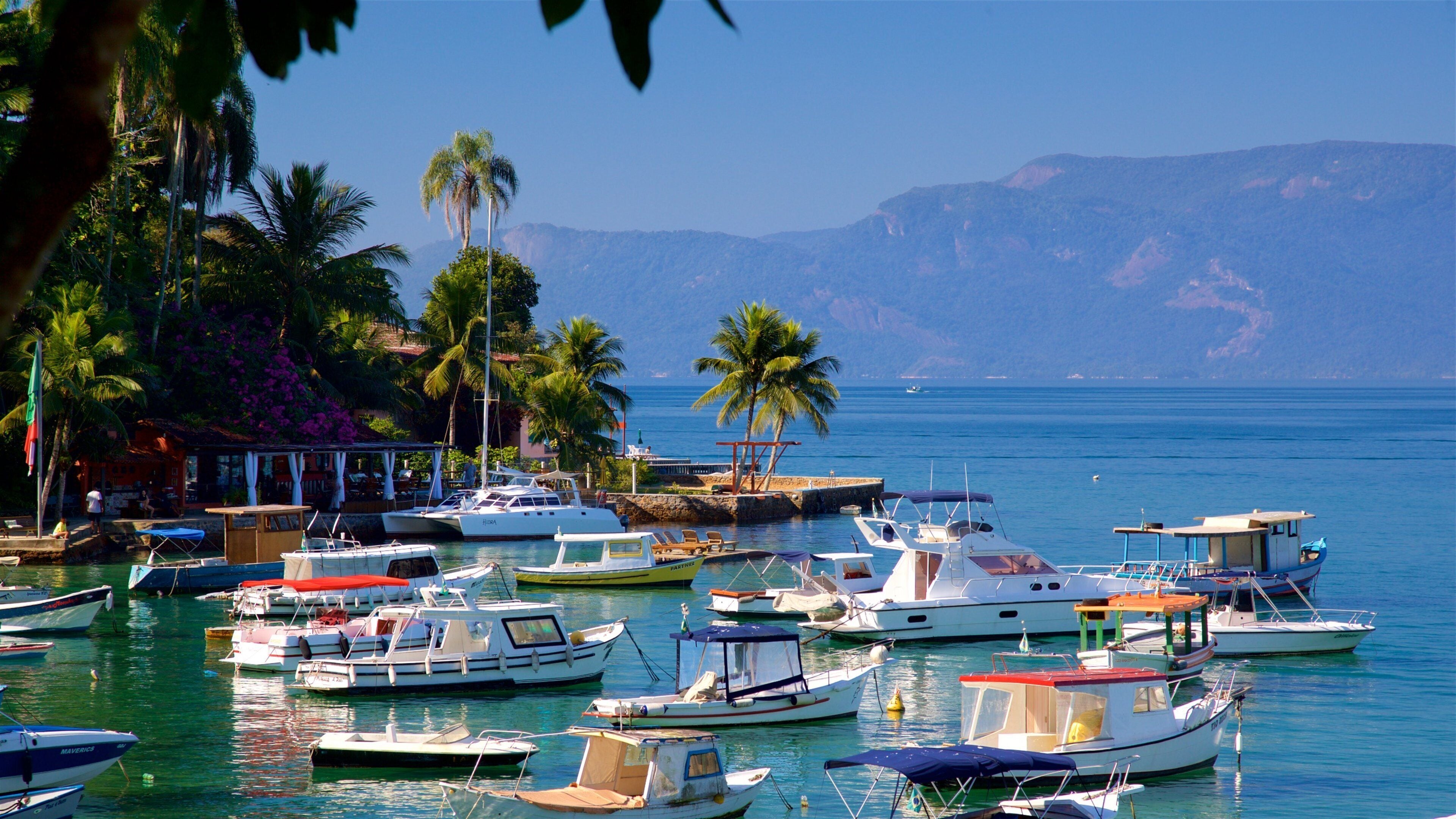 Bonfim Beach which includes a bay or harbor and tropical scenes