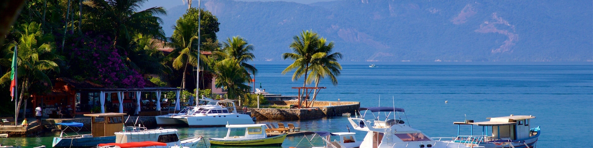 Bonfim Beach which includes a bay or harbor and tropical scenes