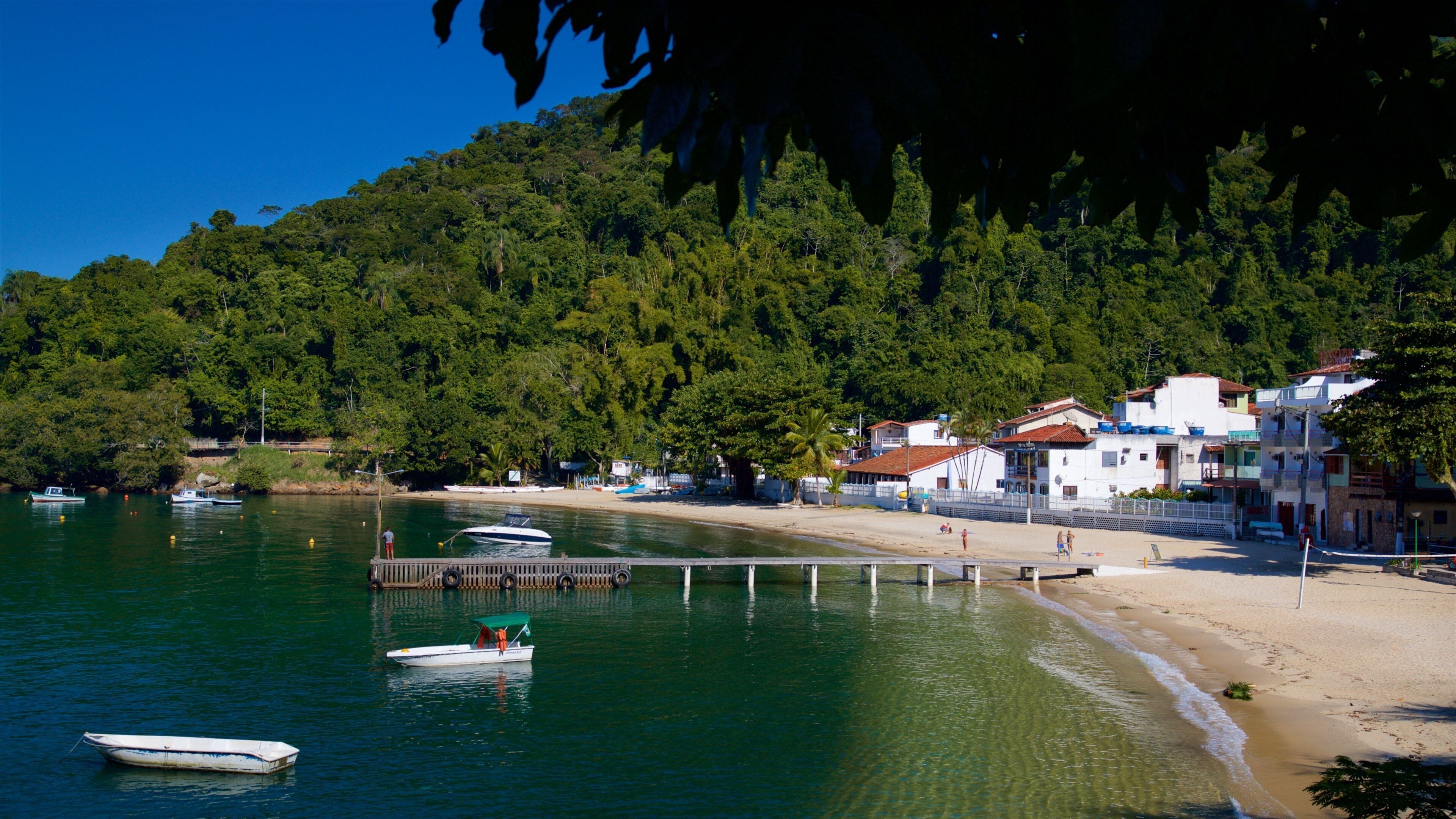A coastal village with boats on calm waters, a sandy beach, and dense forested hills.
