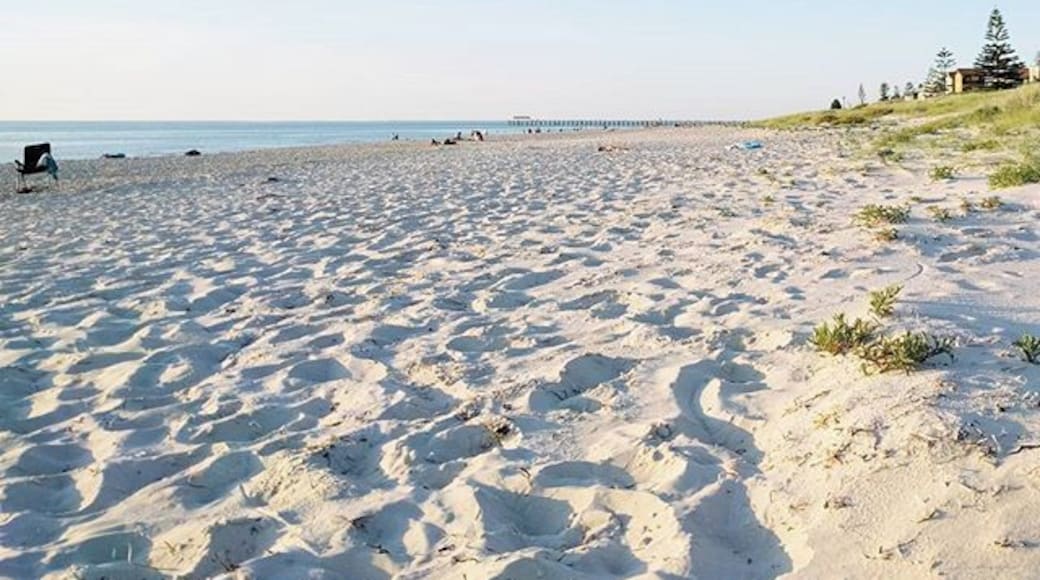 Monday, you beach 😼🙀🌊 #lifesbeachy #lifespeachy #mondayitis #whereidratherbe #officelifenotcloseenough #southaustralia #beach