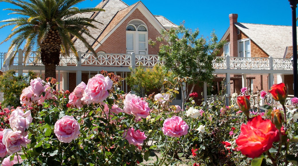 Sahuaro Ranch House and Rose Garden