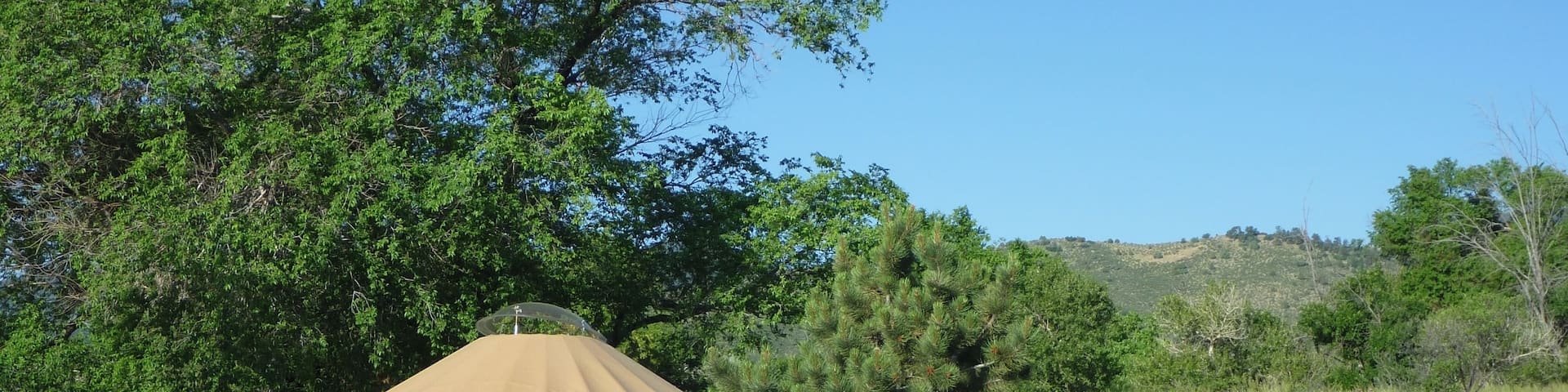 Camping yurt in Bear Creek Lake Park Colorado