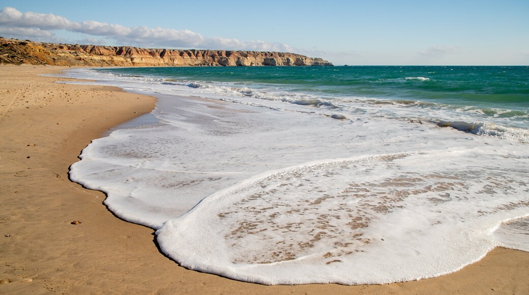 Maslin Beach showing general coastal views and a beach