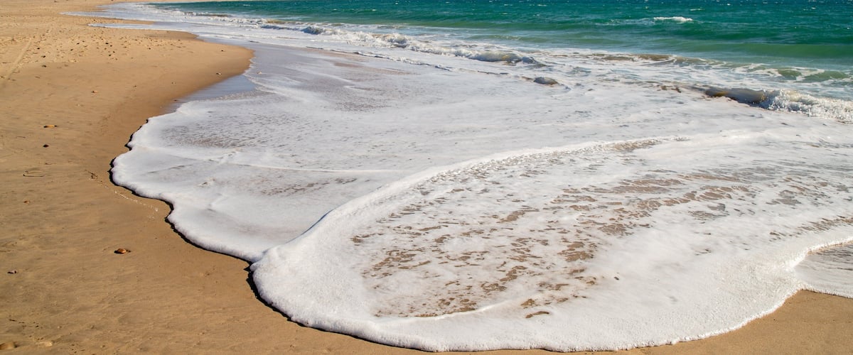 Maslin Beach showing general coastal views and a beach