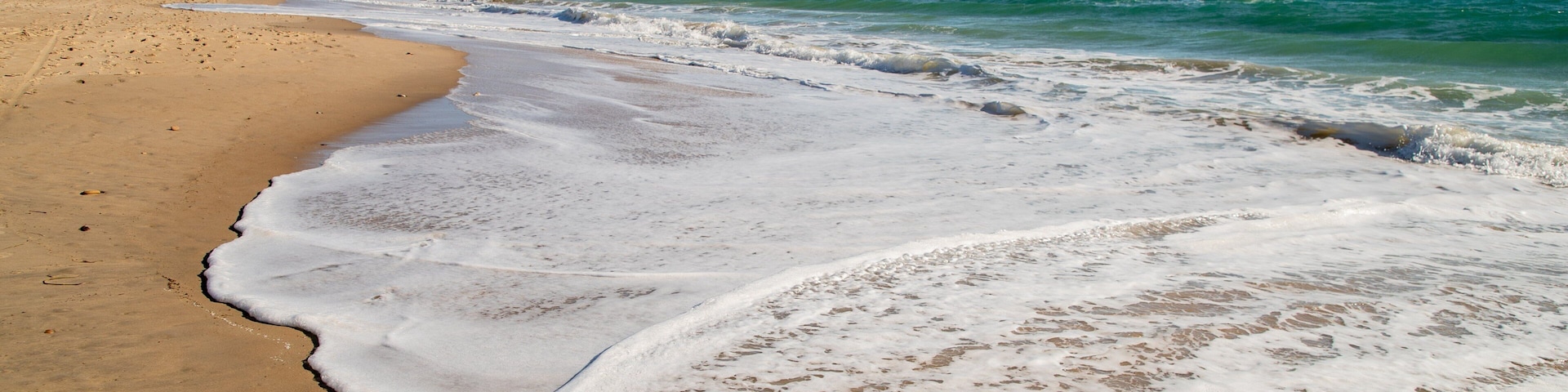 Maslin Beach showing general coastal views and a beach