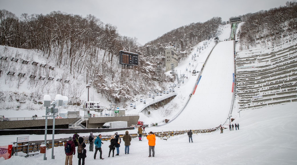 Sapporo Winter Sports Museum showing snow and mountains as well as a small group of people