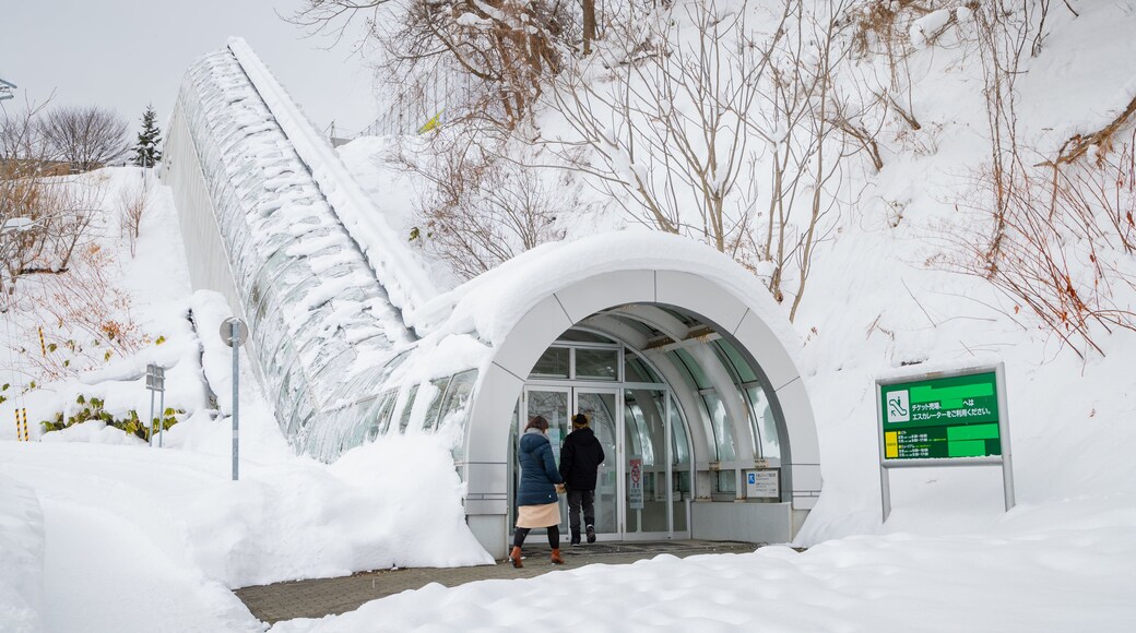 Sapporo Winter Sports Museum which includes snow as well as a couple