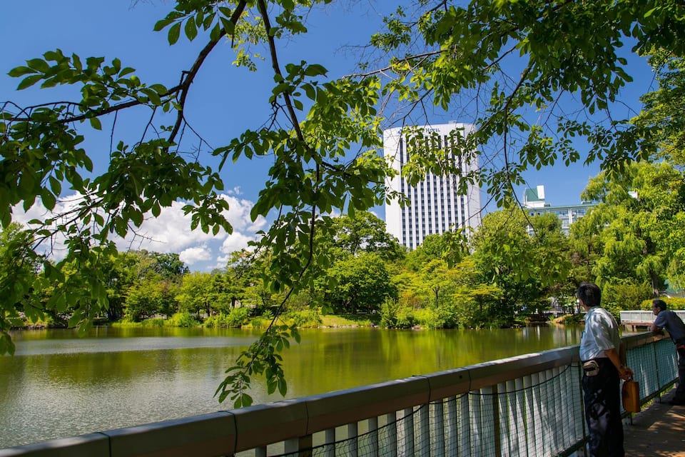 A river with a bridge, surrounded by trees and buildings in the background.