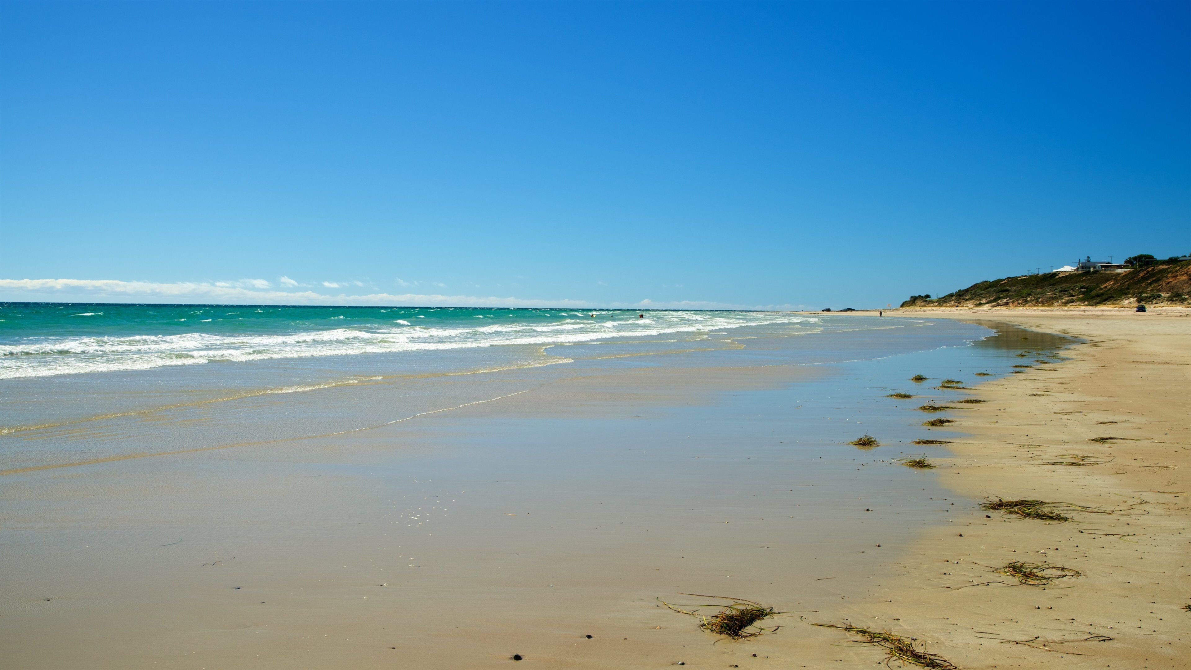 Aldinga Beach showing a sandy beach and general coastal views