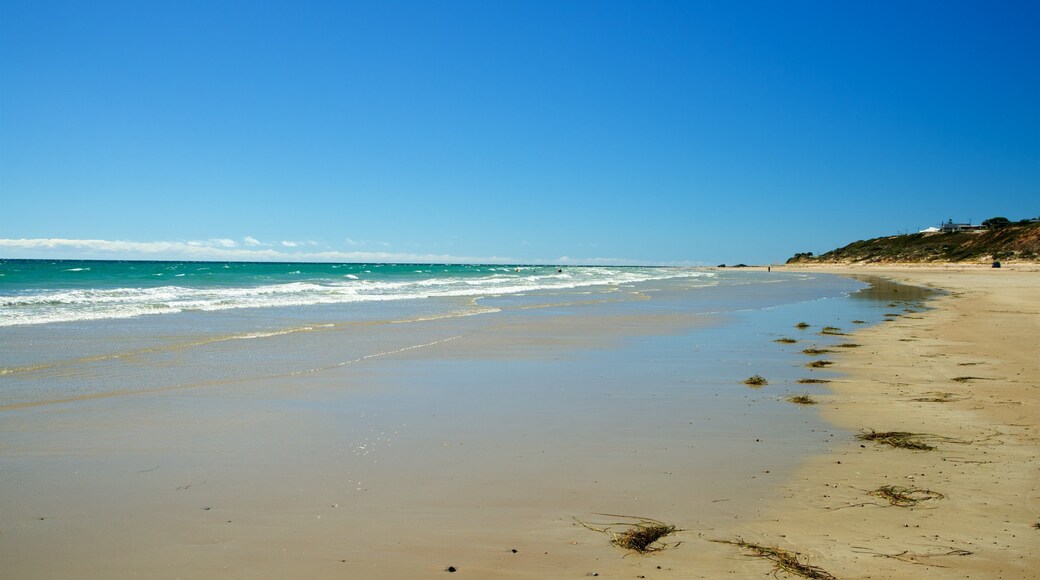 Aldinga Beach showing a sandy beach and general coastal views