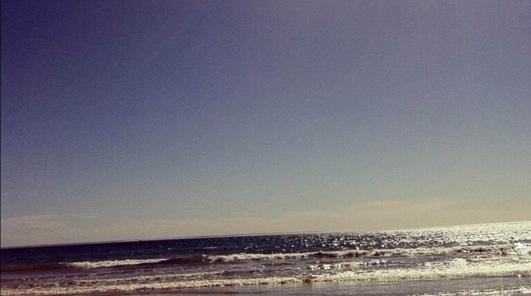 #beach #sea #sun #aldinga #adelaide #bird