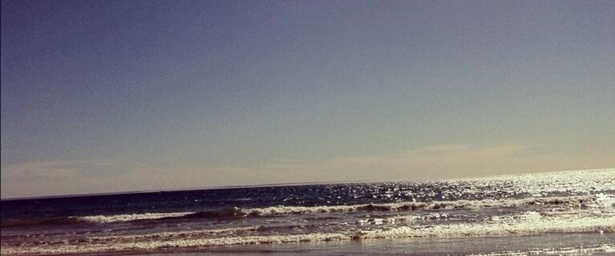 #beach #sea #sun #aldinga #adelaide #bird
