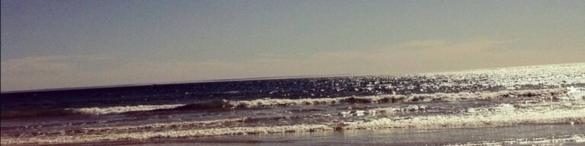 #beach #sea #sun #aldinga #adelaide #bird