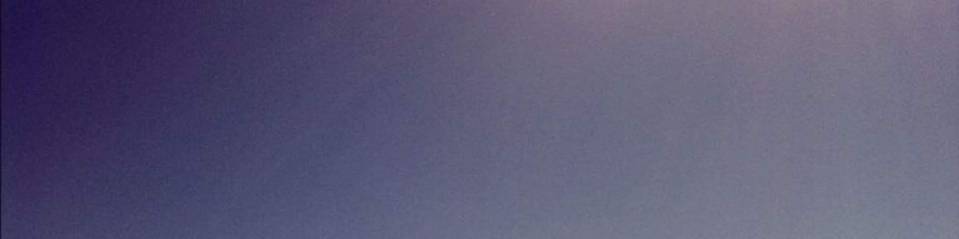 #beach #sea #sun #aldinga #adelaide #bird