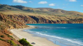 Aldinga Beach montrant vues littorales et plage de sable