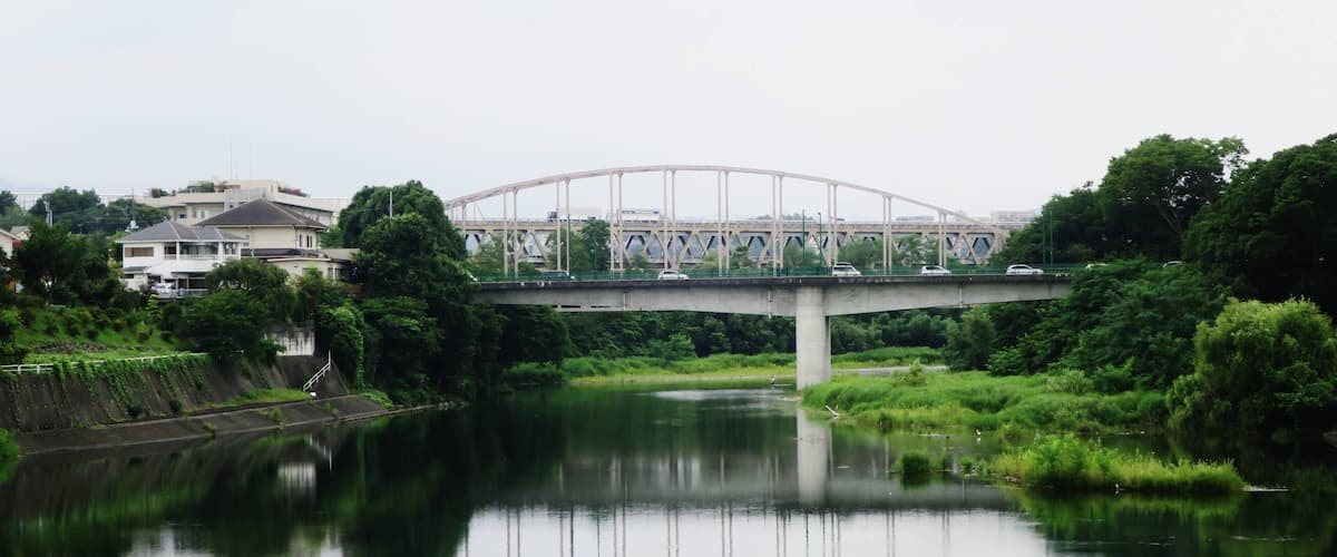 A bridge over a river with a reflection, surrounded by greenery and houses.