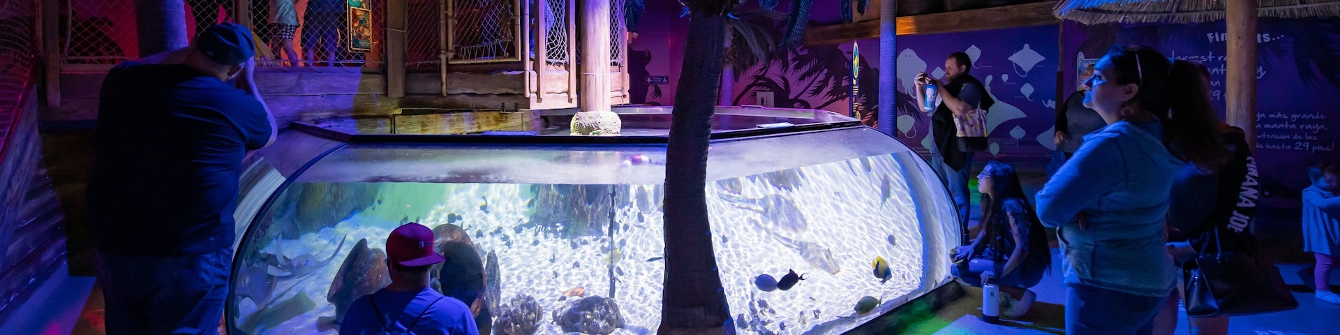 Sea Life Aquarium