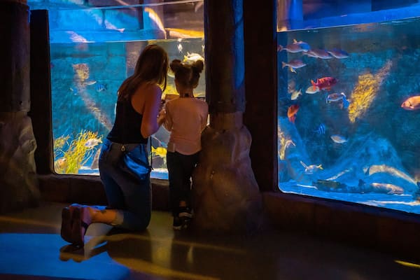 Sea Life Aquarium
