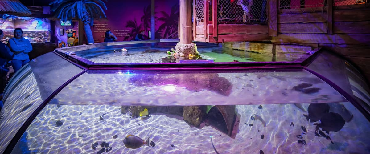 Sea Life Aquarium