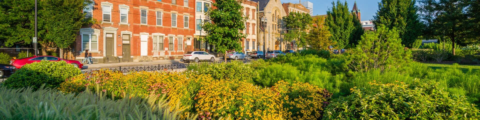 A red brick building, a church, and a park with yellow flowers.