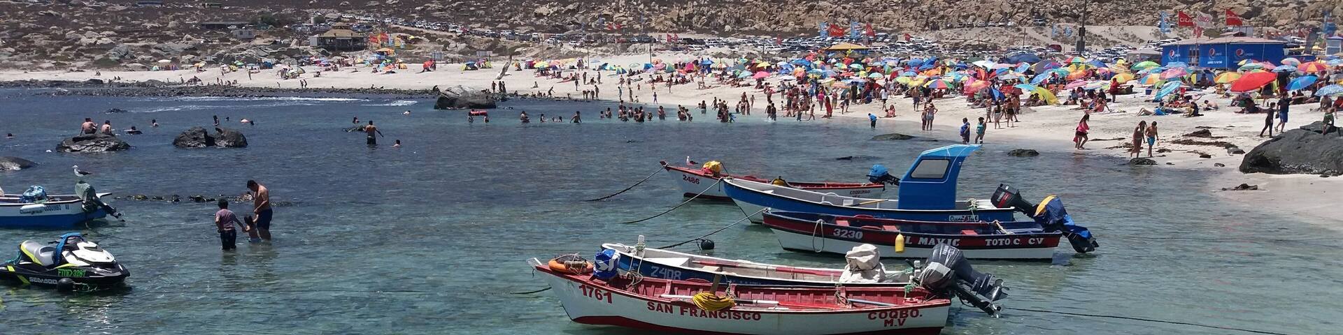 Playa Totoralillo (La Serena,Chile)