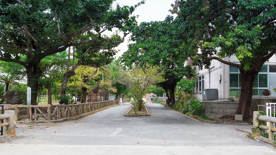 EyeEm Custom Shoots Q4 2018