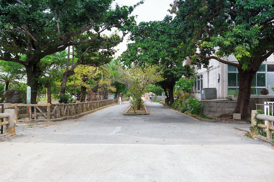 A tree-lined street with a stone wall on one side and a building on the other.