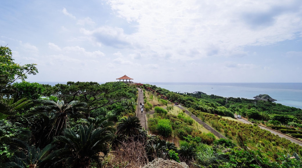Tamatorizakin observatorio