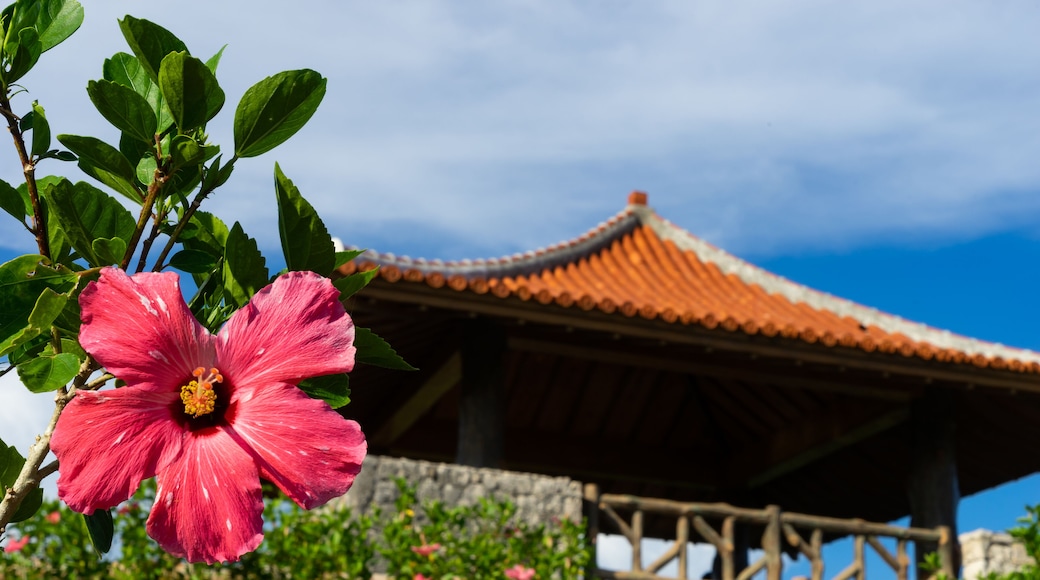 Tamatorizakin observatorio