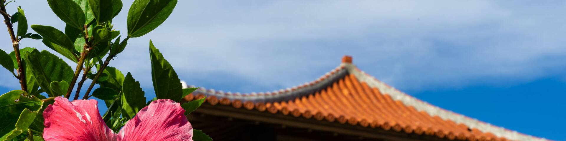 Landscape of Tamarotizaki Viewpoint in Ishigaki Island, Okinawa Japan, Shutterstock ID 1173041866, Purchase Order: -