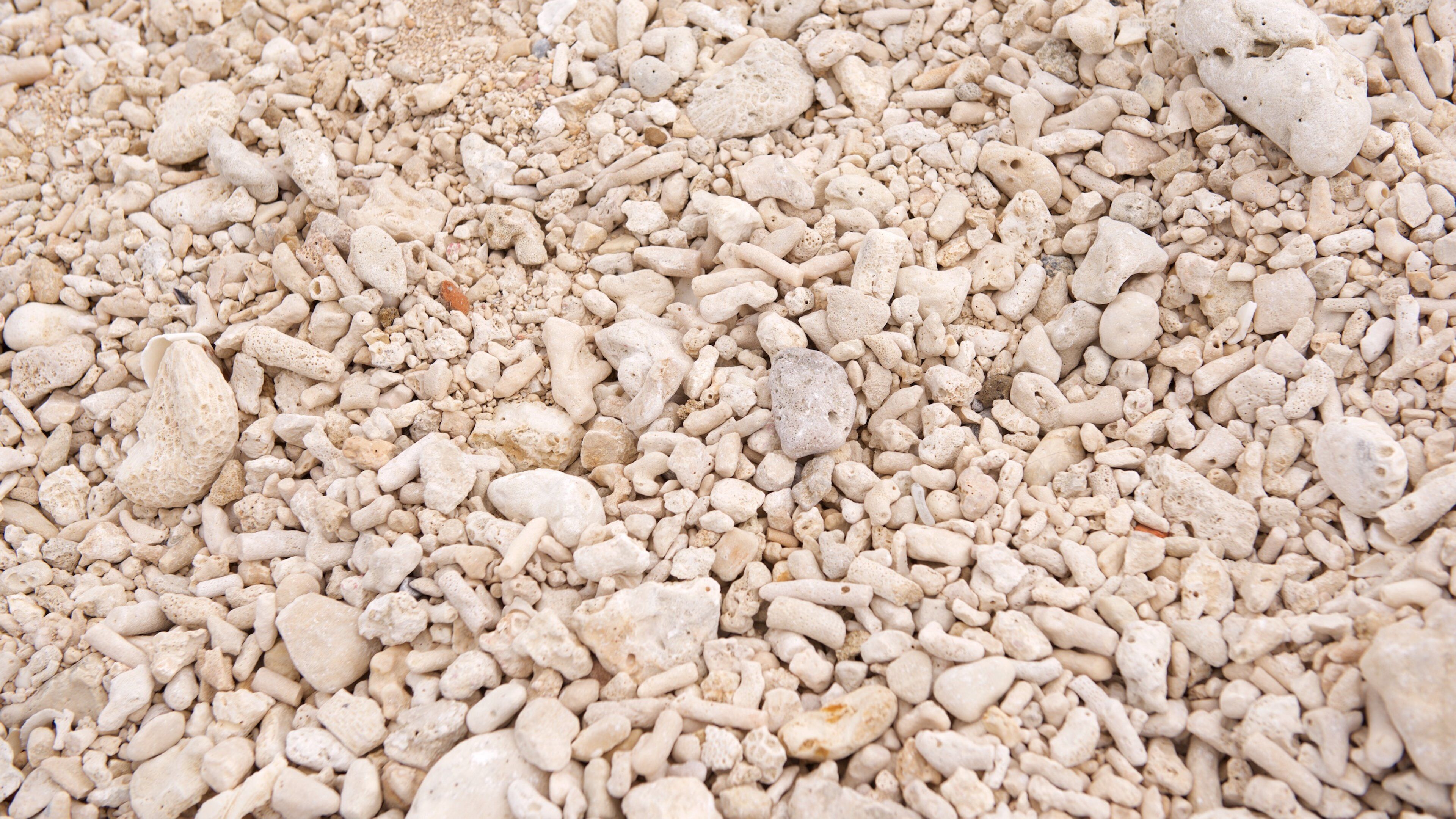 Shiraho Beach which includes a pebble beach