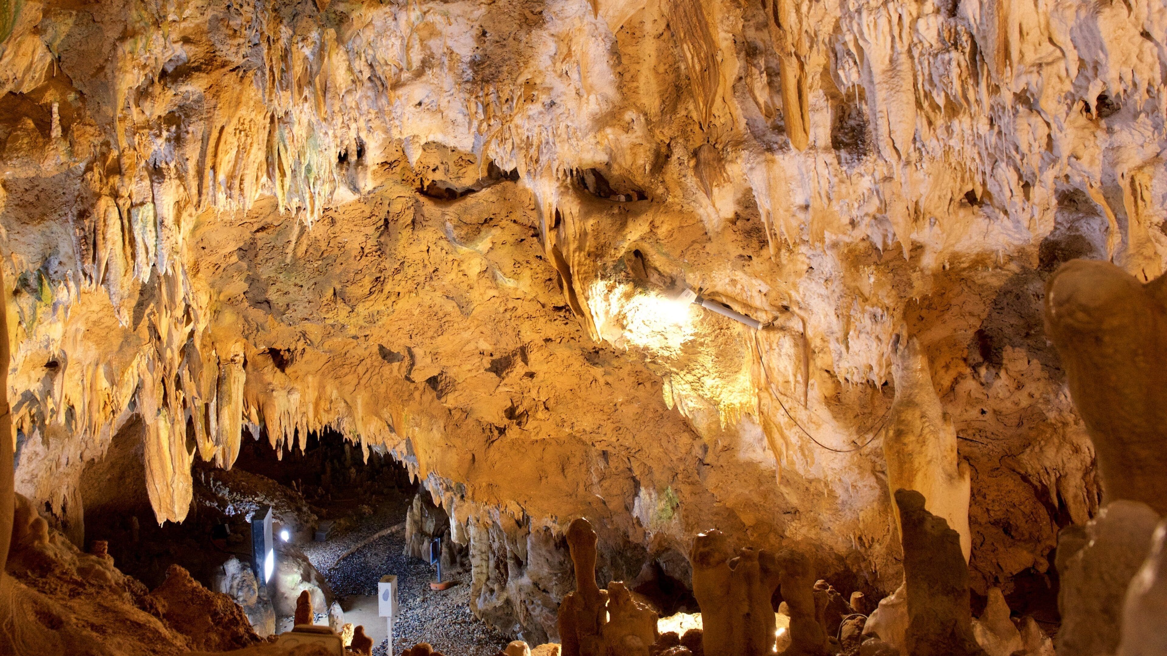 Ishigaki-öns kalkstensgrotta som inkluderar grottor och grottutforskning
