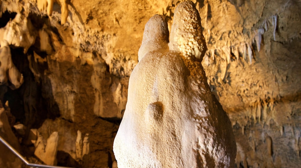 Cueva caliza de la isla de Ishigaki ofreciendo espeleología y cuevas